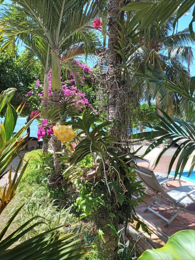 Crown Beach Hotel Seychelles Pointe Au Sel Eksteriør bilde
